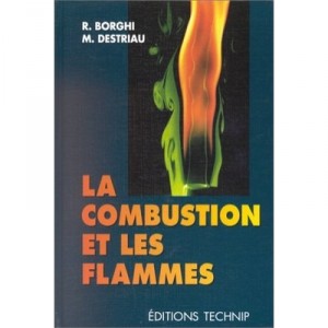 Combustion and flame - Borghi Destriau