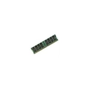 IBM 1GB Cache Memory Upgrade - Carte cache alimentée par batterie de secours
