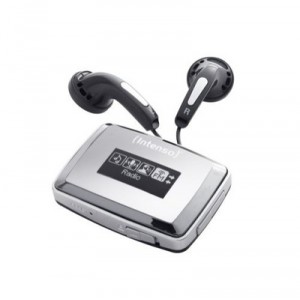 Intenso Music Waver (2 Go)