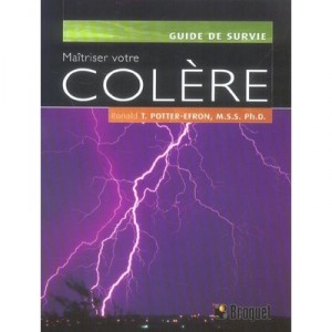 Maitriser Votre Colere - Ronald Potter-efron