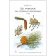 Les Resineux T.1 , Connaissance Et Reconnaissance (2e Edition) - Philippe Riou-nivert