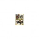 LES SIMS MEDIEVAL pour PC