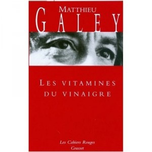 Les Vitamines Du Vinaigre - Matthieu Galey