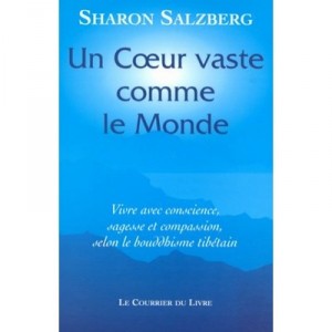 A Heart As Wide World: Living With Conscience, Compassion and Wisdom - Sharon Salzberg