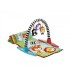FISHER PRICE Tapis d'éveil et portique