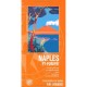 Naples Et Pompei , Ischia Et Procida, La Cote Sorrentine, Capri, Le Vesuve, La Cote Amalfitaine - Collectif