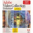 Adobe Systems Incorporated Video Collection Pro 2.6 Upgrade (from Pro) Win [Import anglais] Mise à jour