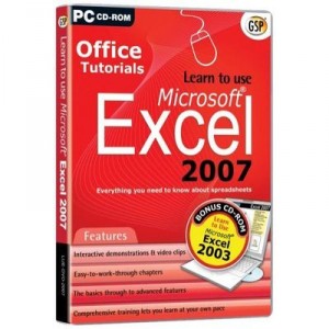 Avanquest Software Learn to Use Excel 2007 (PC) [Import UK]