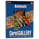 Corel Gallery Animals - Ensemble Complet - 1 Utilisateur - Cd - Win