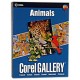 Corel Gallery Animals - Ensemble Complet - 1 Utilisateur - Cd - Win