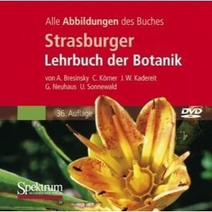 Springer Strasburger - Lehrbuch der Botanik [German Import]