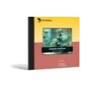 Symantec AntiVirus Enterprise Edition - (version 10.1 ) - support - CD - Win - International Enterprise License