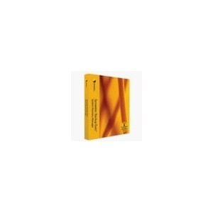 Symantec Backup Exec System Recovery Manager Business Pack - (v. 8.0) - complete package + 1 Y. ..