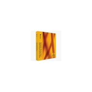 Symantec Backup Exec System Recovery Server Edition Business Pack - (version 8.0 ) - ensemble comple...