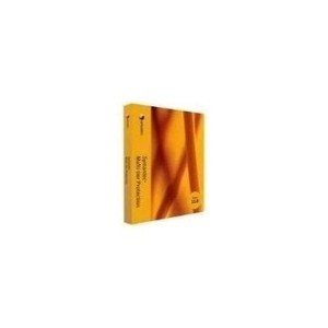 Symantec Multi-Tier Protection Small Business Edition Business Pack - (Version 11.0.2 ) - Ensemble C...