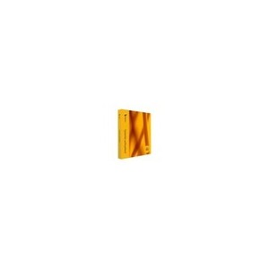 Symantec pcAnywhere Host  Remote Business Pack - (version 12.1 ) - ensemble complet - 5 hosts, 1 Ã ...