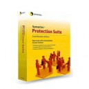 Symantec Protection Suite Small Business Edition (Licence uniquement)