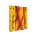 Symantec SYMC BACKUP EXEC SYSTEM RECOVERY SERVER 8.0 WIN ML CD BNDL BUS PACK BASIC 12 MO