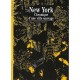 New York - Jerome Charyn