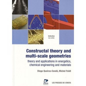 Constructal Theory And Multi-scale Geometries. Theory And Applications In Energetics, Chemical Engin - Queiros Conde F