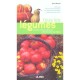 Tous Les Legumes Courants, Rares Ou Meconnus Cultivables Sous Nos Climats - Victor Renaud