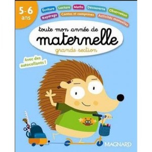 Toute Mon Annee De, Maternelle , Grande Section , 5/6 Ans (edition 2008) - Michele Brossier