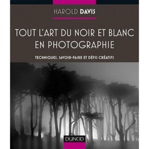 Tout L'art Du Noir Et Blanc En Photographie - Harold Davis