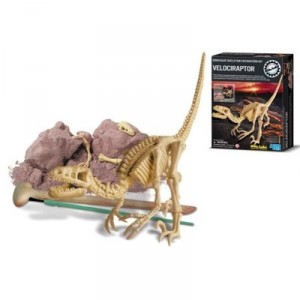 4m - Kidz Labs - Velociraptor - Dinosaur Dig Your - Dig A Dino