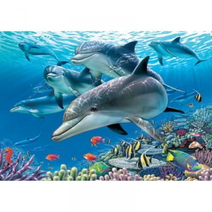 Educa Educa toys - Paradise On WATER - 11750