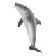 Schleich - Dauphin - 16088