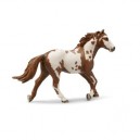 Schleich - Etalon Pinto - 13616