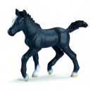 Schleich - Poulain Lipizzan - 13294