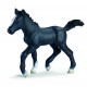 Schleich - Poulain Lipizzan - 13294