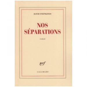 Nos Separations - David Foenkinos