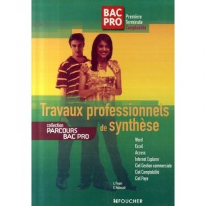 Travaux Professionnels De Synthese - Luc Fages , C Habeuzit
