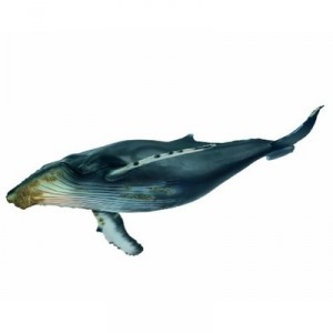 Schleich - 16083 - Figurine - Animaux - Baleine À Bosse