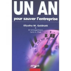 Un An Pour Sauver L'entreprise - Eliyahu-m Goldratt , Carol-a Ptak , Eli Schragenheim