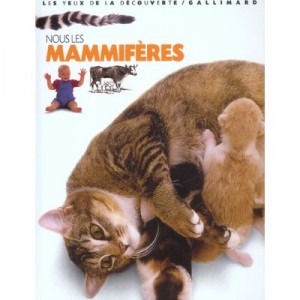 We mammals - Steve Parker