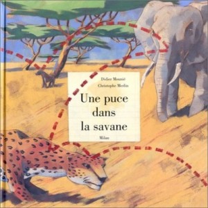 A chip in the Savanna - Mounie Didier, Christophe Merlin