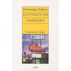 It is not America - Dominique Falkner