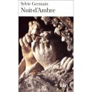 Nuit D'ambre - Sylvie Germain