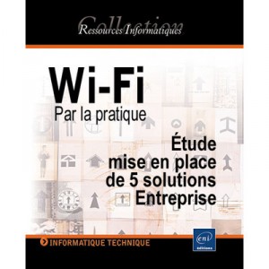 Wi-fi through practice, study, Development of Enterprise Solutions 5 - Laurence Soyer
