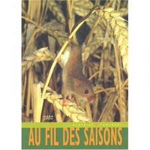 Au Fil Des Saisons - Beatrice Fontanel