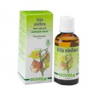 Biover Vitis Vinifera Bio - Teinture Mère Bio