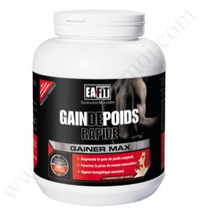 EA FIT Max Gainer Vanilla Delight (EAFIT)