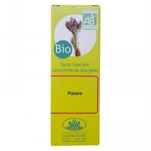 Platane bio - Gemmothérapie - Equi Nutri