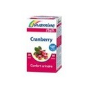 Wellness Cranberry Confort Urinaire (Juvamine)