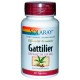 Gattilier 225 mg - 60 gél. (Solaray)