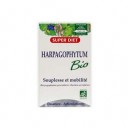 Superdiet Harpagophytum Bio - ampoules