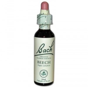 BACH FLOWERS Beech - 20 ml bottle (Vincent Bach)